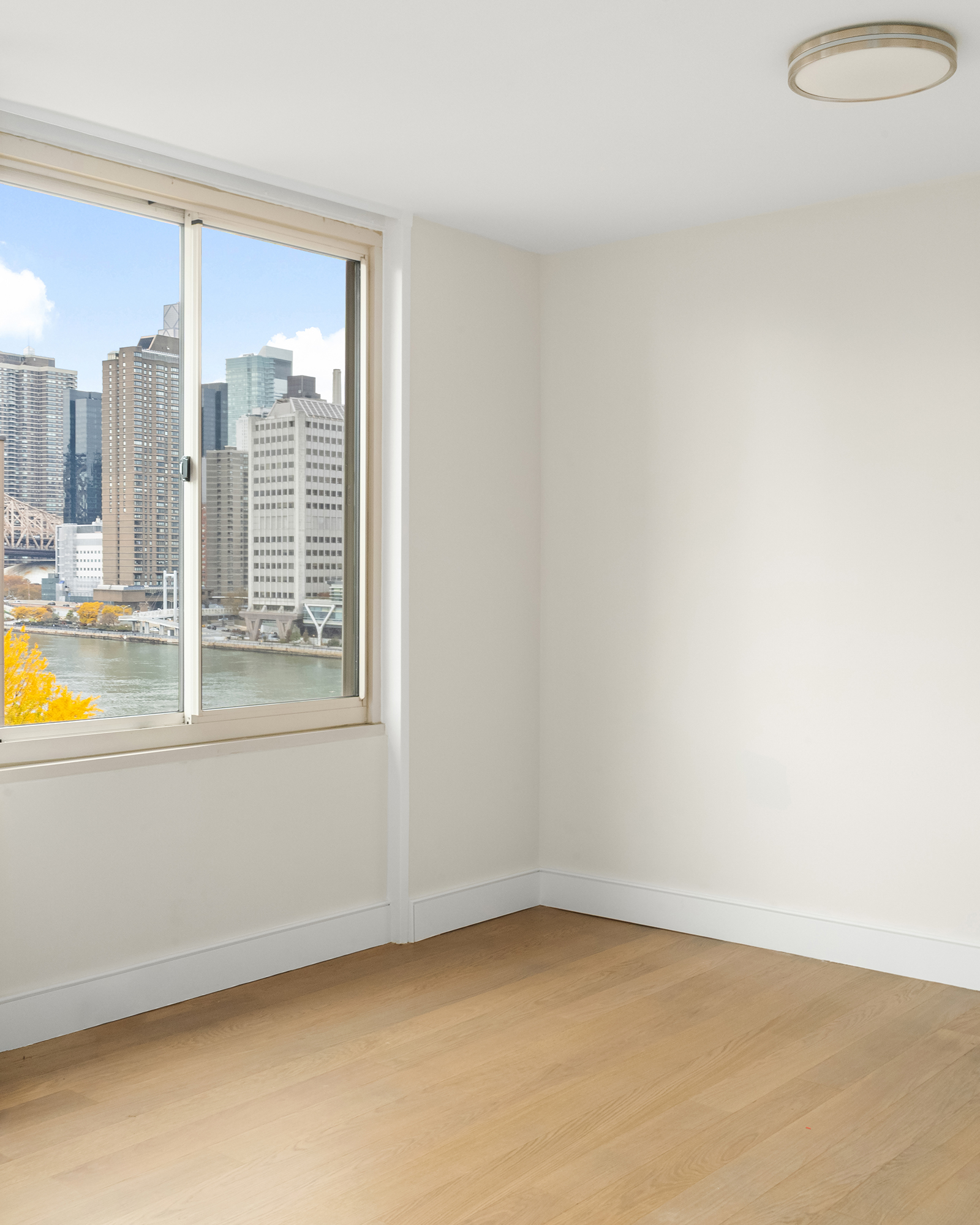 555 Main Street 806 Roosevelt Island New York NY 10044