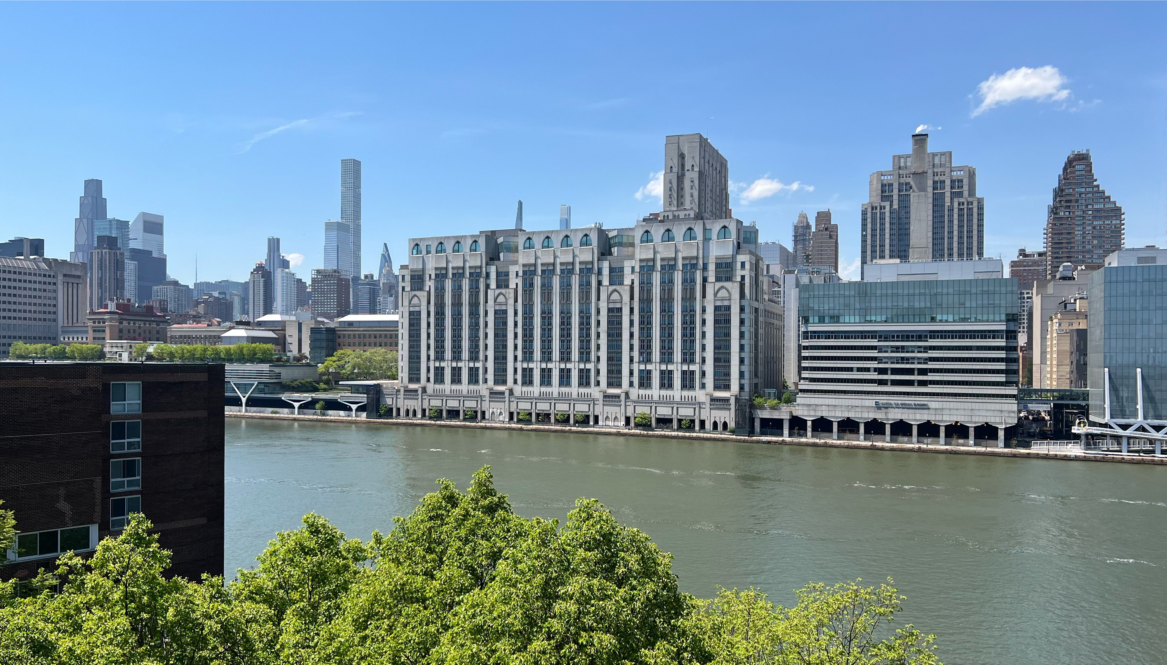 595 Main Street 834 Roosevelt Island New York NY 10044